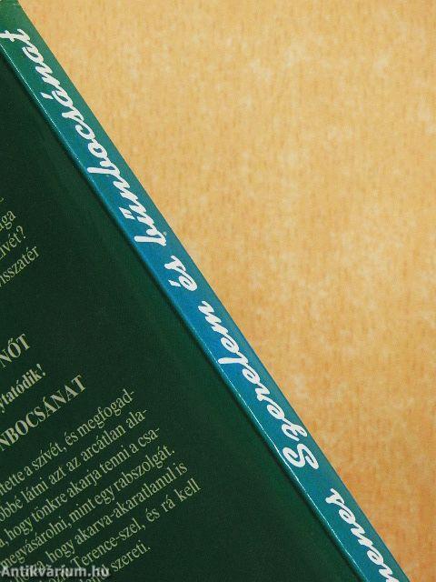 Szerelem és bűnbocsánat