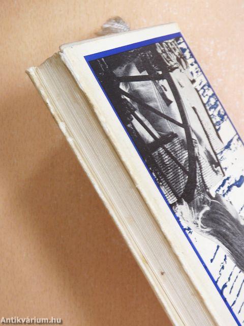 Idegen szenvedélyek