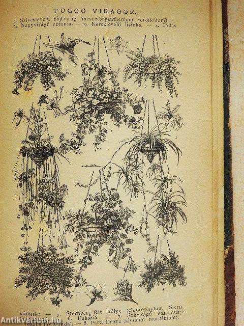 Kis-Lexikon II. (töredék)