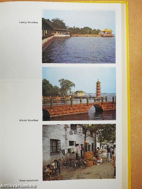 A keleti gyógyítás útjain