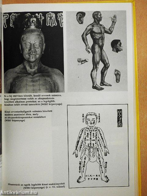 A keleti gyógyítás útjain