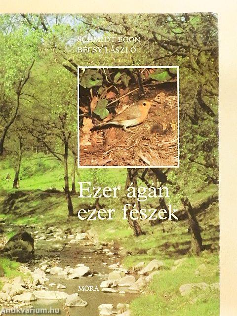 Ezer ágán ezer fészek