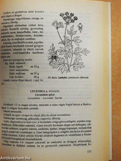 Gyógynövények gyógyhatásai