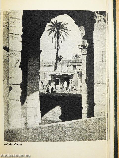 Szívességből a mediterránban