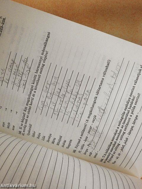 Helyesírási gyakorlófüzetek 5. osztály