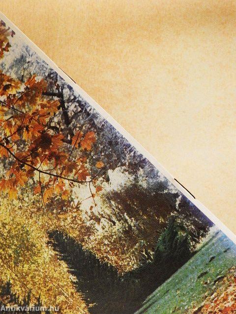 A tiszakürti arborétum