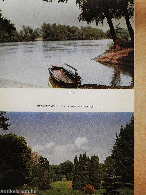 A tiszakürti arborétum