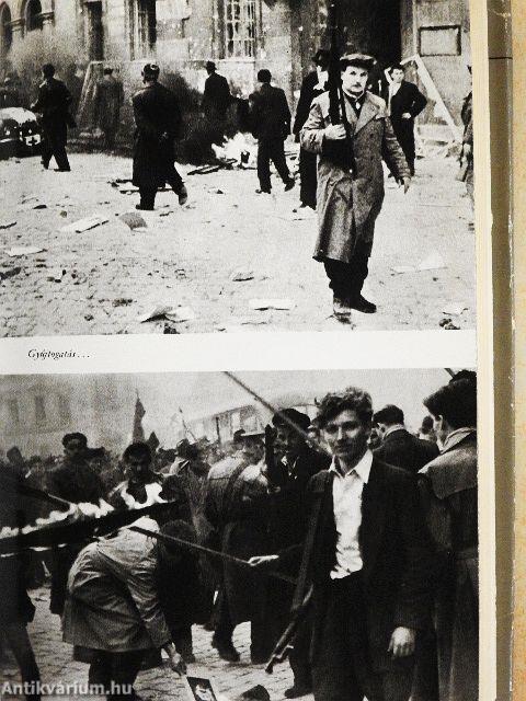 Köztársaság tér/1956