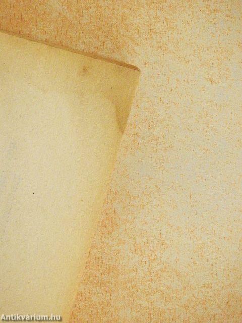 Az őrnaszád foglyai