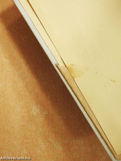 Fürge Ujjak Könyve 1966