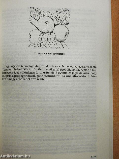 Gyümölcstermesztés III.