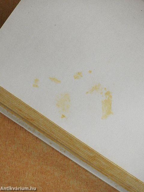 Helyettem, kis virág...