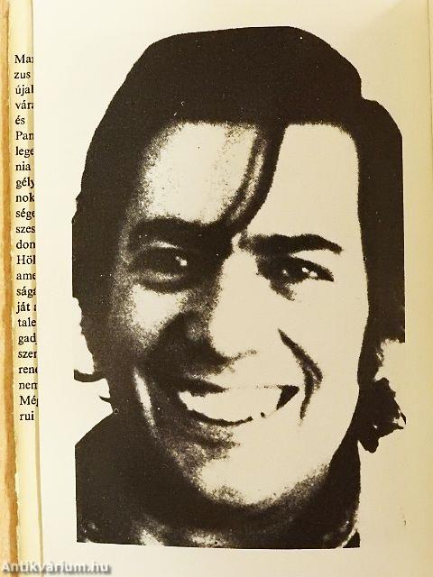 Pantaleón és a hölgyvendégek