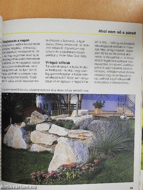 A pázsit gondozása