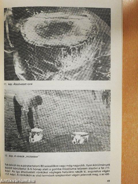 Energia a földekről