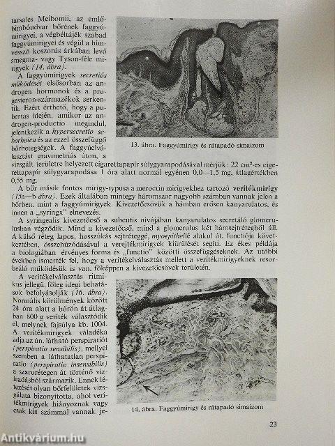 Gyakorlati bőr- és nemigyógyászat