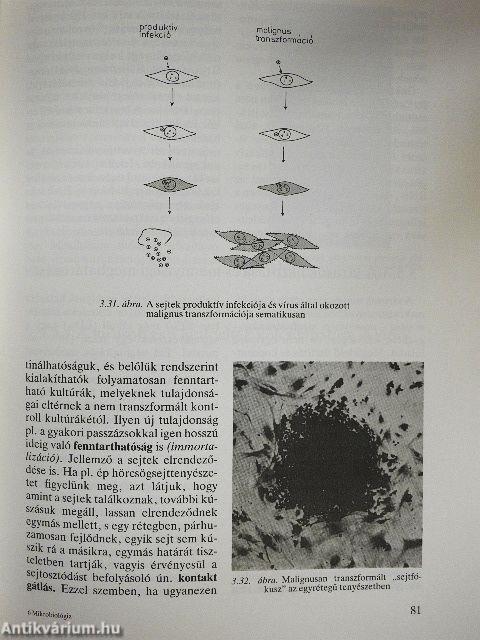 Klinikai mikrobiológia