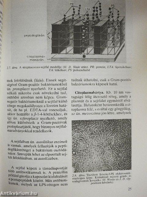 Klinikai mikrobiológia