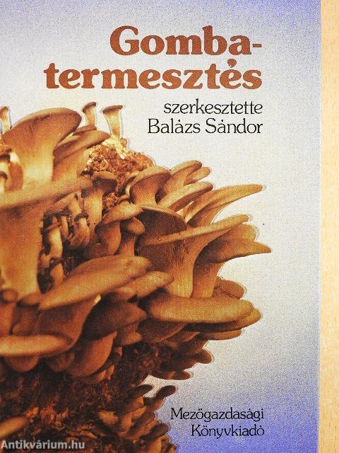 Gombatermesztés