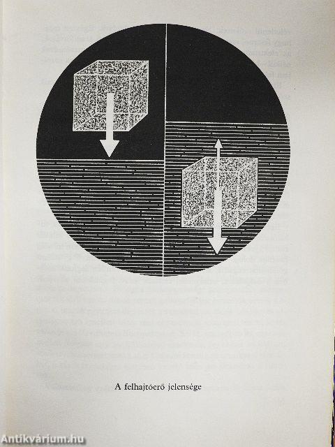Törvényszerű véletlenek másfél évszázad fizikájában
