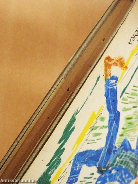 Tom Sawyer kalandjai