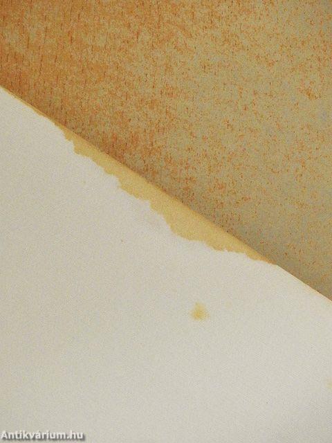 Négy könyv az építészetről