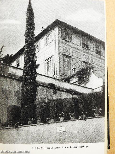 Kőbe zárt fájdalom