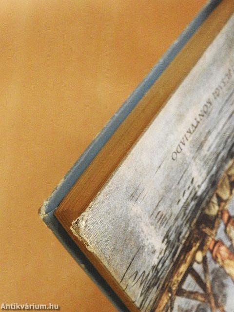 Huckleberry Finn kalandjai