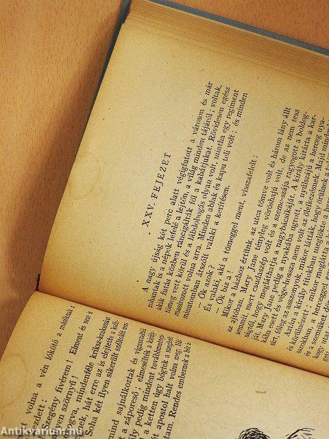 Huckleberry Finn kalandjai