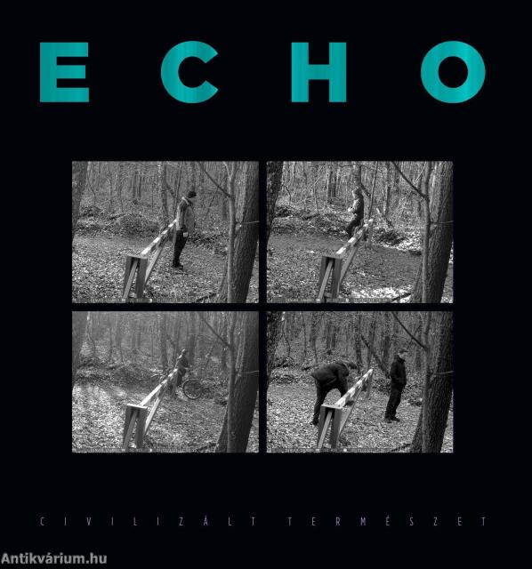 Civilizált természet. Környezetesztétika elméletben és gyakorlatban