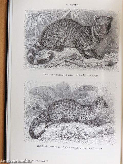 Brehm - Az állatok világa 4.