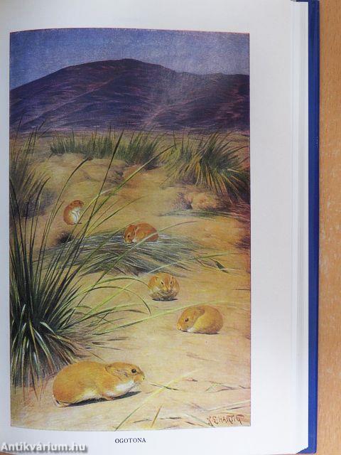 Brehm - Az állatok világa 5.