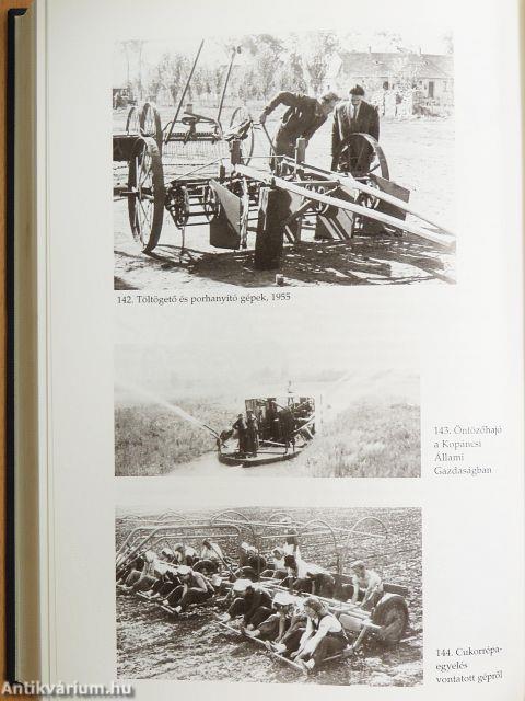 Magyarország a XX. században II.