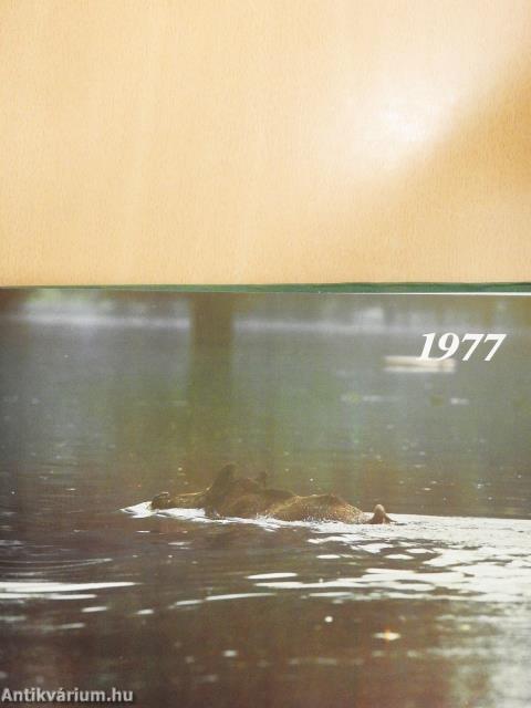 Magyarország aranyérmes trófeái (többszörösen dedikált példány)