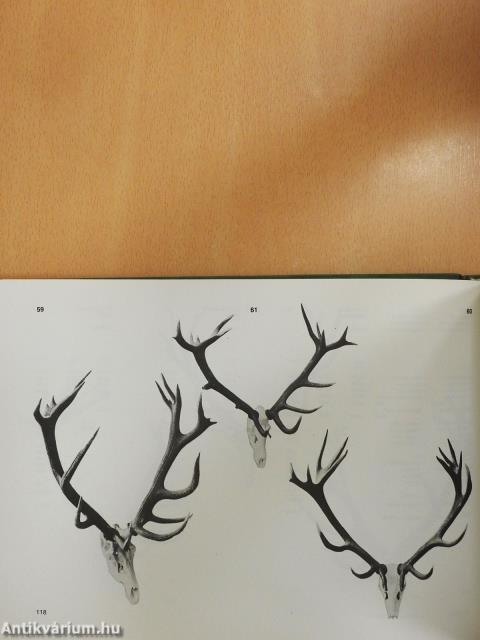 Magyarország aranyérmes trófeái (többszörösen dedikált példány)