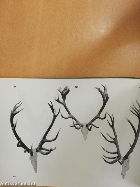 Magyarország aranyérmes trófeái (többszörösen dedikált példány)