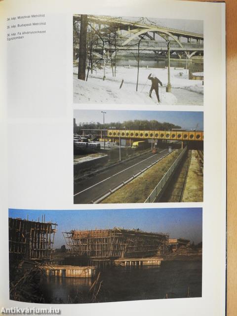 Hidak (dedikált példány)