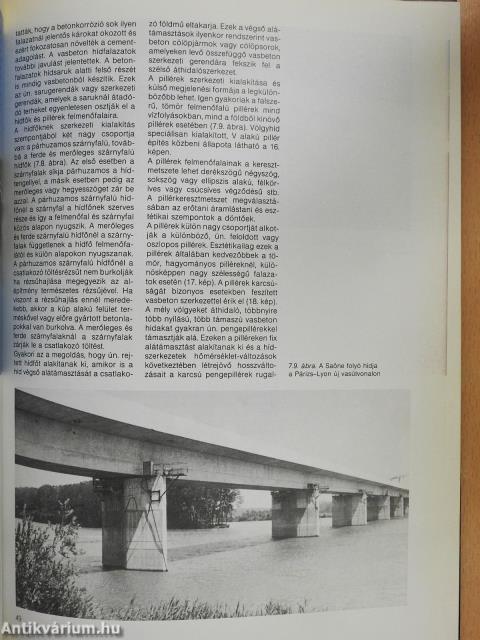 Hidak (dedikált példány)