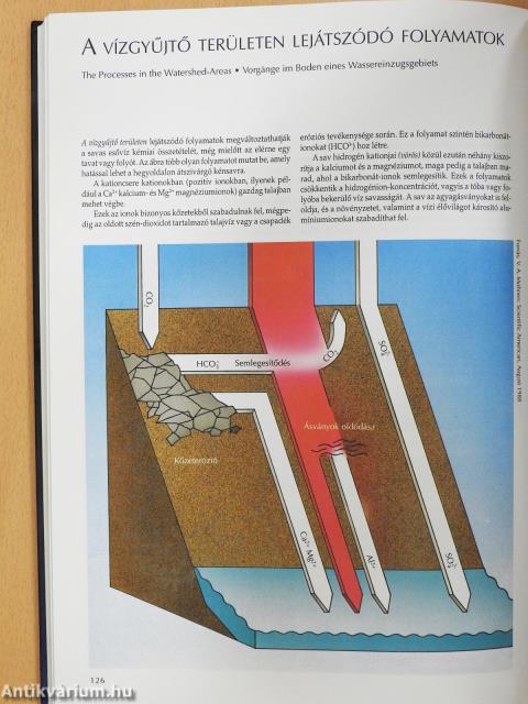 Körforgások a természetben és a társadalomban (dedikált példány)