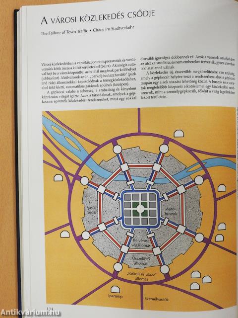 Körforgások a természetben és a társadalomban (dedikált példány)