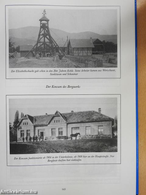 Die Geschichte und Volkskunde der Gemeinde Werischwar (dedikált példány)