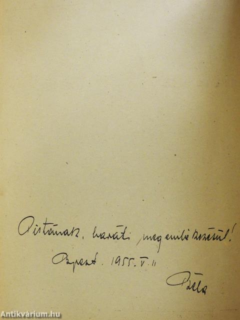 A raszteres mélynyomás (dedikált példány)