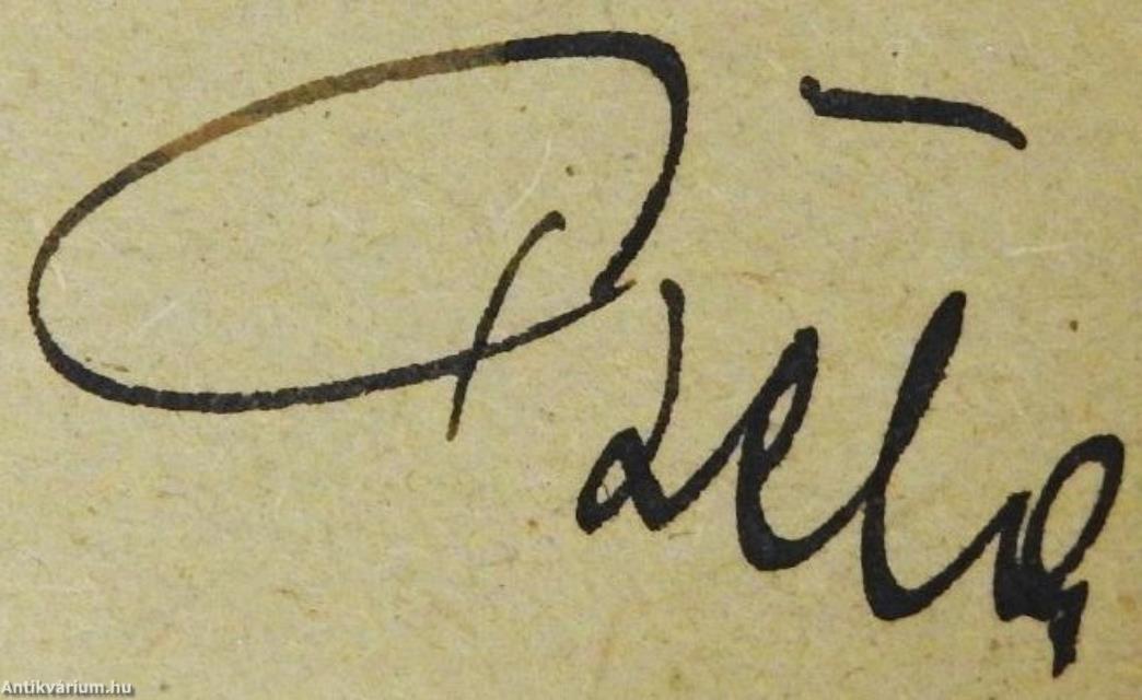 A raszteres mélynyomás (dedikált példány)