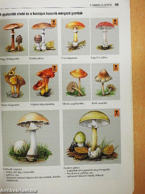 Biológia érettségizőknek 1.