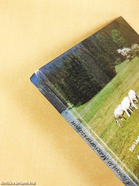 A lipicai ló Magyarországon