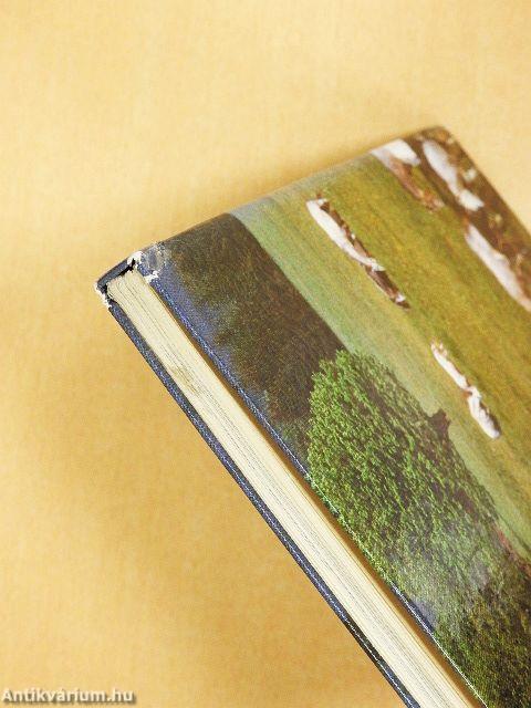 A lipicai ló Magyarországon