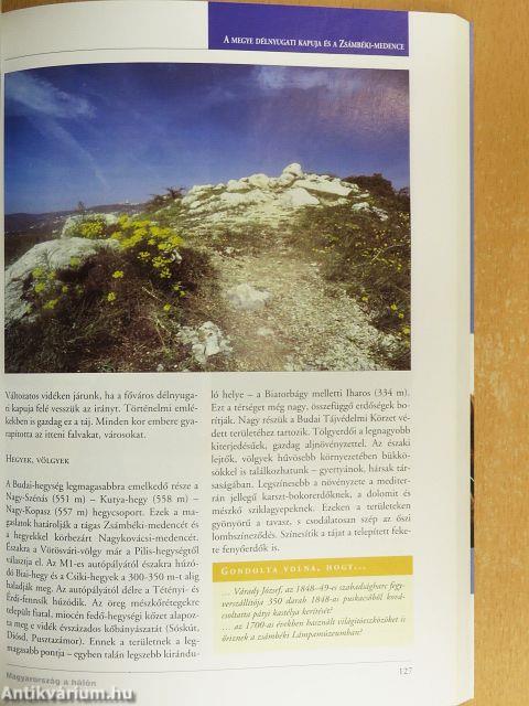 Látnivalók Pest megyében