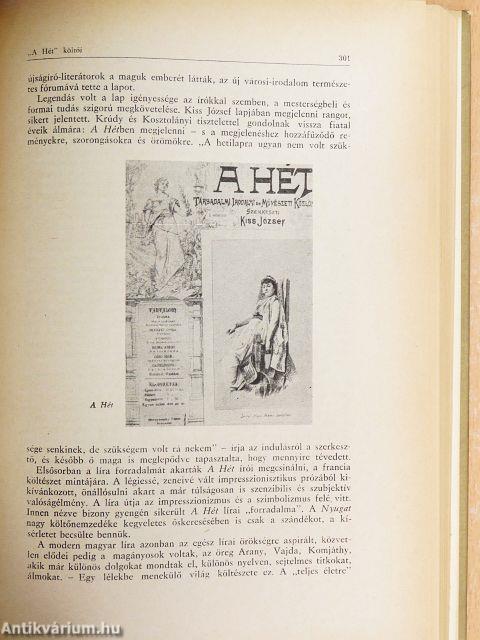 A magyar irodalom története 1849-1905