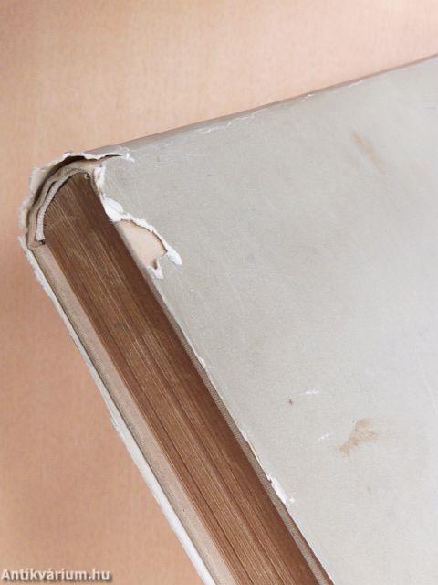 A magyar irodalom története 1849-ig