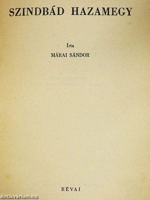 Szindbád hazamegy
